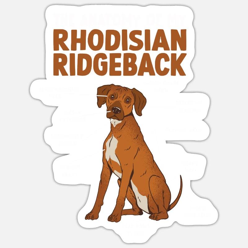 Rhodesian Ridgeback Anatomie Hundehalter Spazierga - Sticker Größe S (10 x 10 cm) - Mattweiß