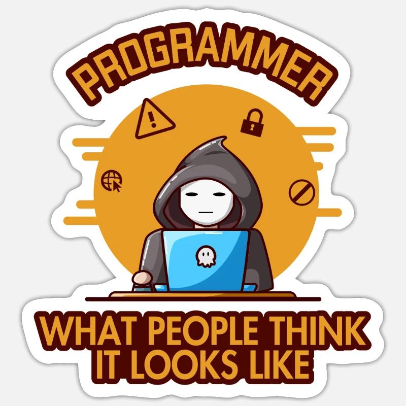 Programmer Looks Like Softwareentwickler Coder Sticker Größe S (10 x 10 cm)