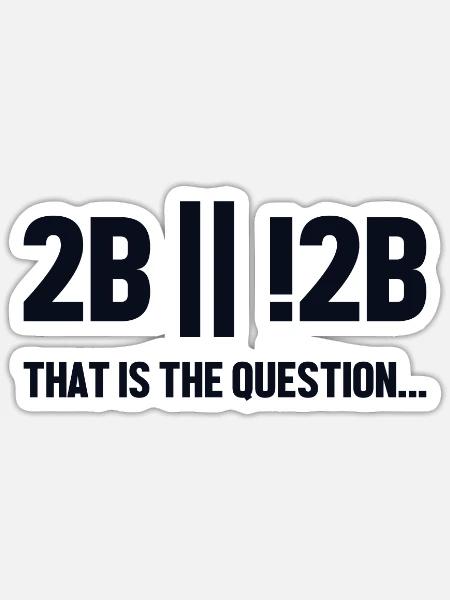 2B or not 2B Question Softwareingenieur Coder - Sticker Größe S (10 x 10 cm) - Mattweiß