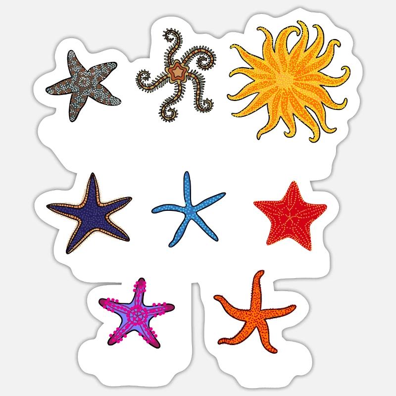 Seestern Sticker Größe S (10 x 10 cm)