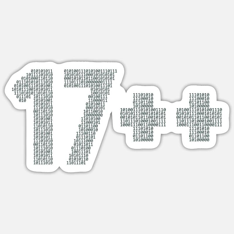 17++ Programmierer Developer Coder 18. Geburtstag Sticker Größe S (10 x 10 cm)