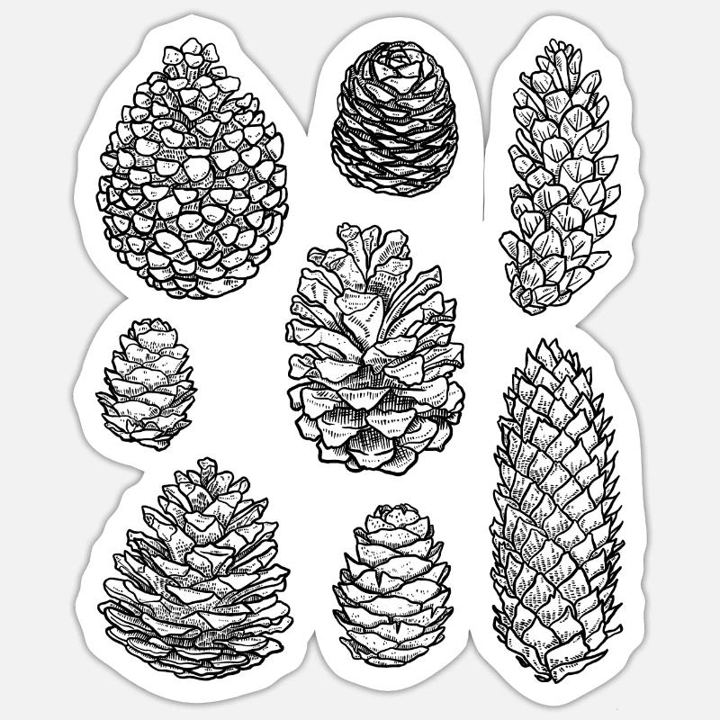 Pine cones Pine cones Spruce cones Sticker size S (10 x 10 cm)