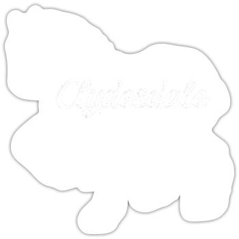 Clydesdale Shirt Clydesdale Rider - Sticker size S (10 x 10 cm) - white matte - Front