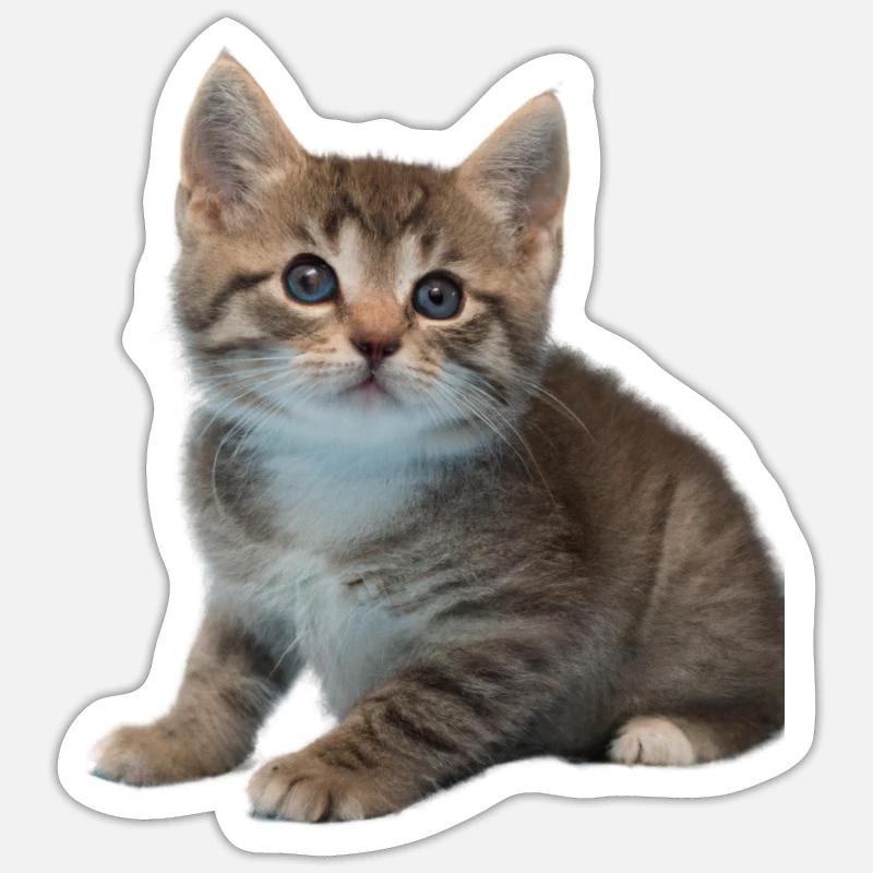 Conception de chat Sticker taille S (10 x 10 cm)