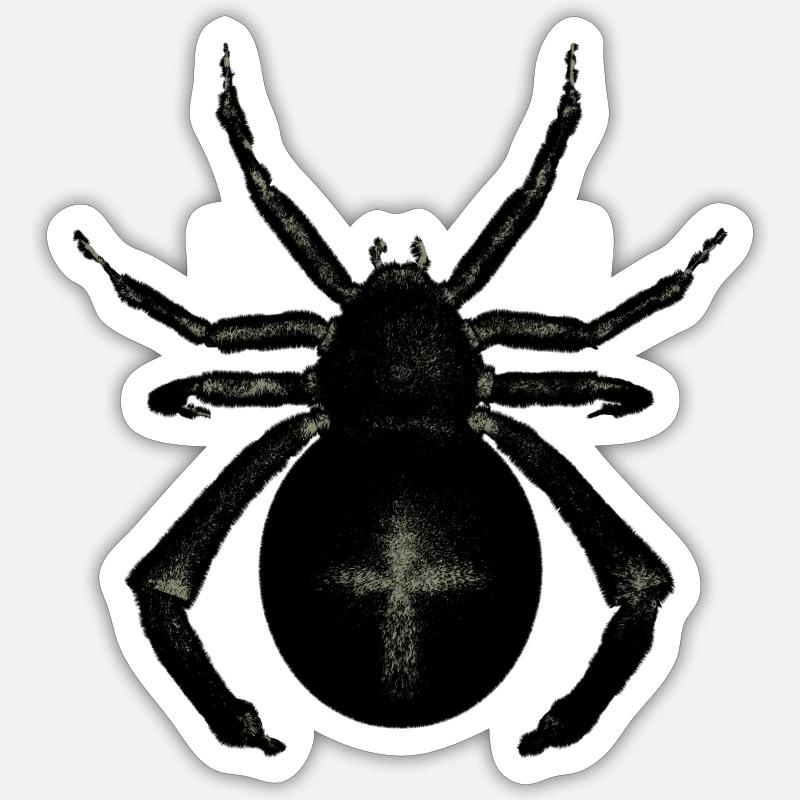 Araignée - Sticker taille S (10 x 10 cm) - blanc mat