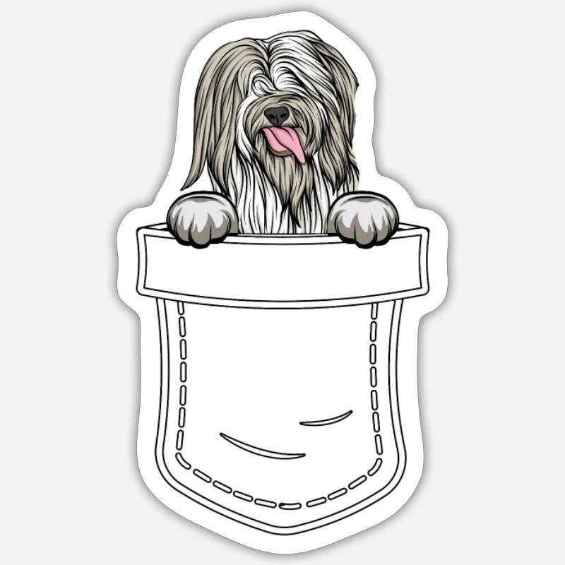 Bearded Collie Gift Chiens - Sticker taille S (10 x 10 cm) - blanc mat
