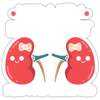 Kidney Transplant Kidney Donor Kidney Disease - Sticker size S (10 x 10 cm) - white matte - Front