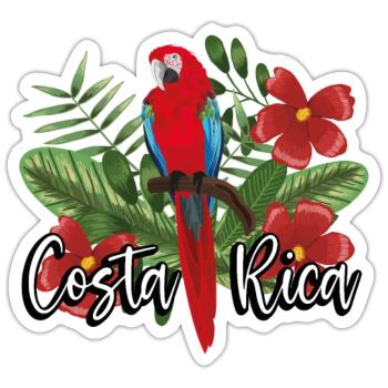 Perroquet blanc du Costa Rica - Sticker taille S (10 x 10 cm) - blanc mat - Devant
