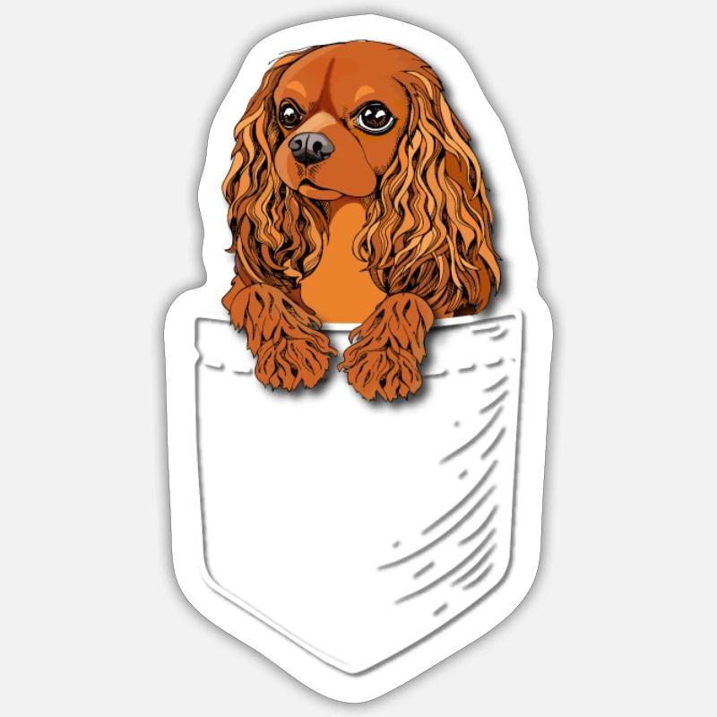 Rubis Cavalier King Charles Spaniel Sticker taille S (10 x 10 cm)