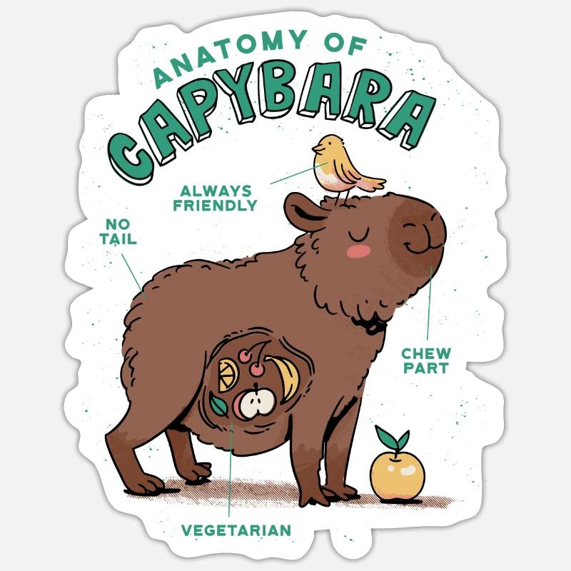 Anatomie Eines Capybara Süßes Capybara - Sticker Größe S (10 x 10 cm) - Mattweiß