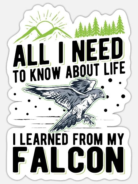 Falke Geschenk Falkenzucht Falkenzüchter Falkner - Sticker Größe S (10 x 10 cm) - Mattweiß