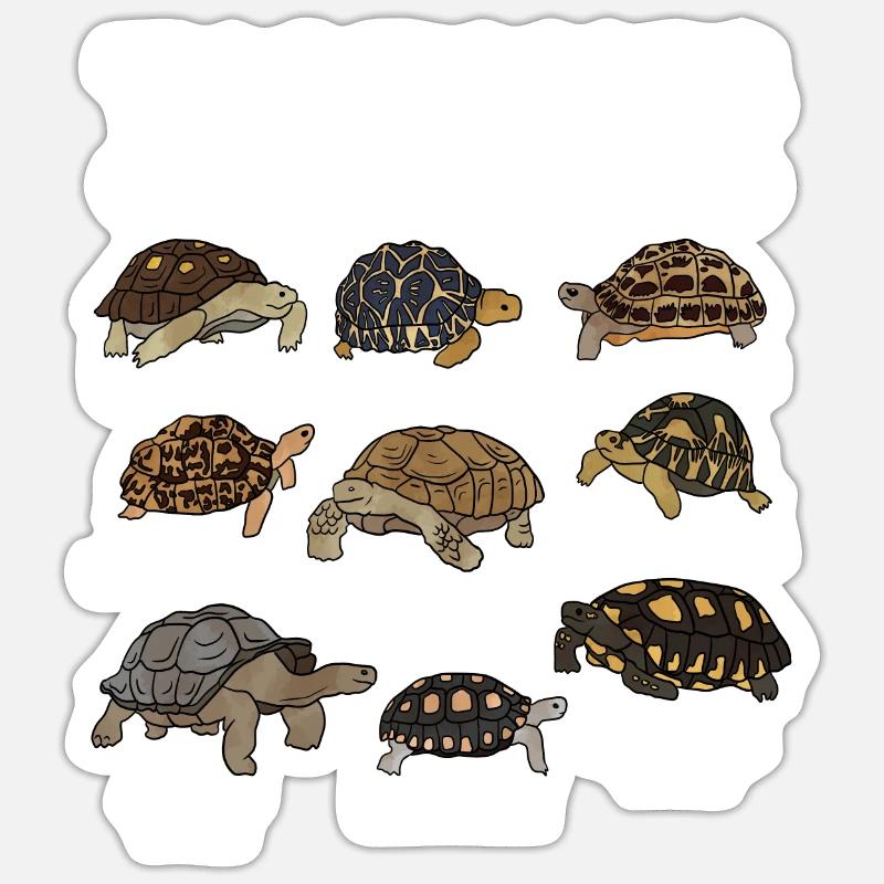 Tortues du monde - Sticker taille S (10 x 10 cm) - blanc mat