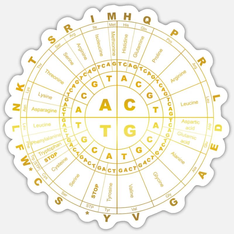 Code génétique - biologie moléculaire - Sticker taille S (10 x 10 cm) - blanc mat