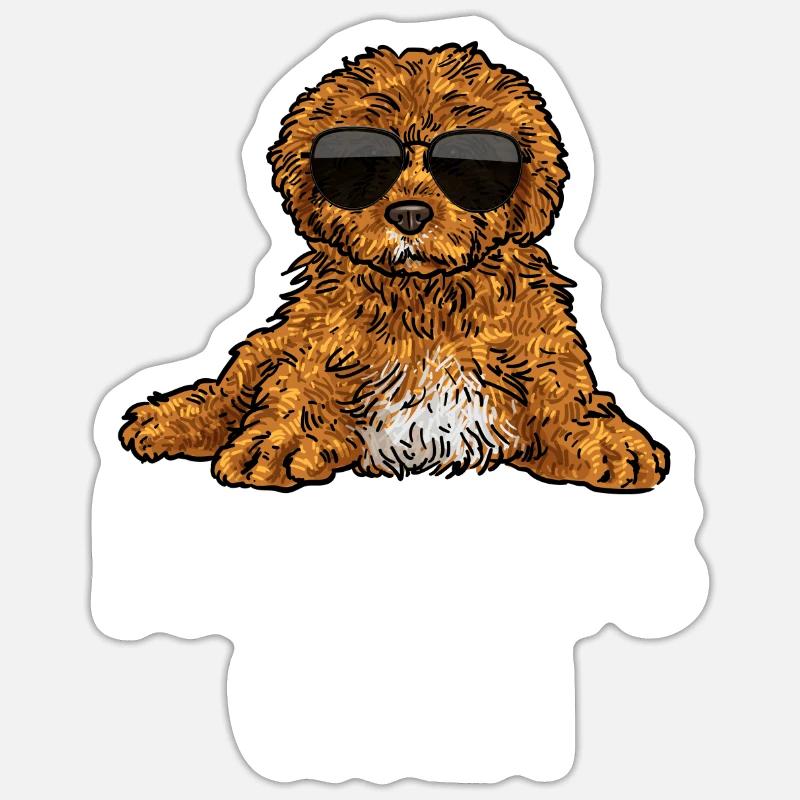 Cavapoo Cavoodle Capoodle Dog - Sticker size S (10 x 10 cm) - white matte