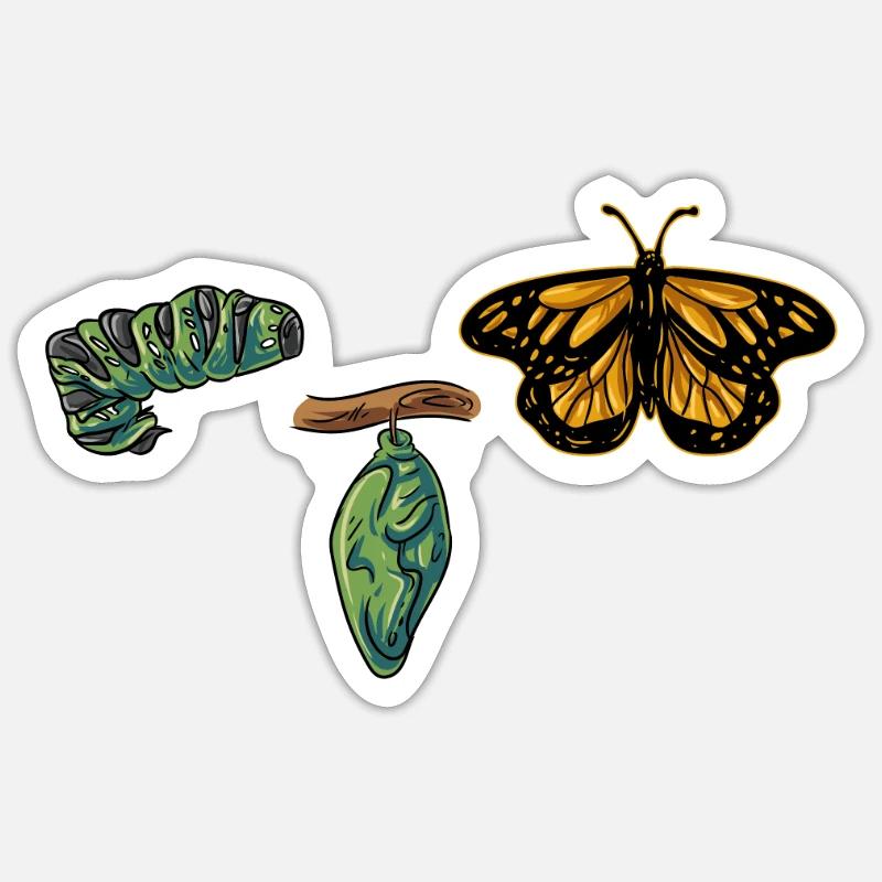 Évolution papillon - Sticker taille S (10 x 10 cm) - blanc mat