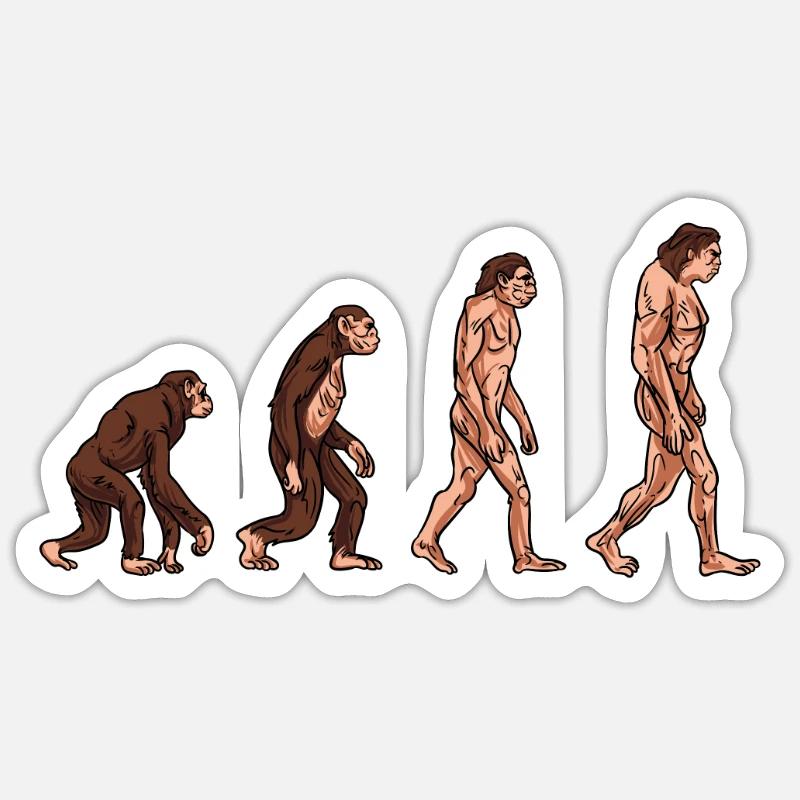 Menschliche Evolution - Sticker Größe S (10 x 10 cm) - Mattweiß