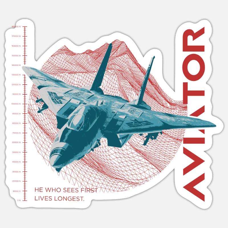 Aviateur F-14 Tomcat - Sticker taille S (10 x 10 cm) - blanc mat