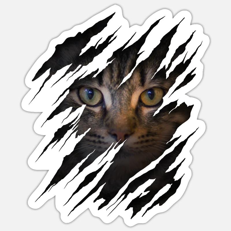 Cat with scratch - Cat face Scratch Cat Sticker size S (10 x 10 cm)