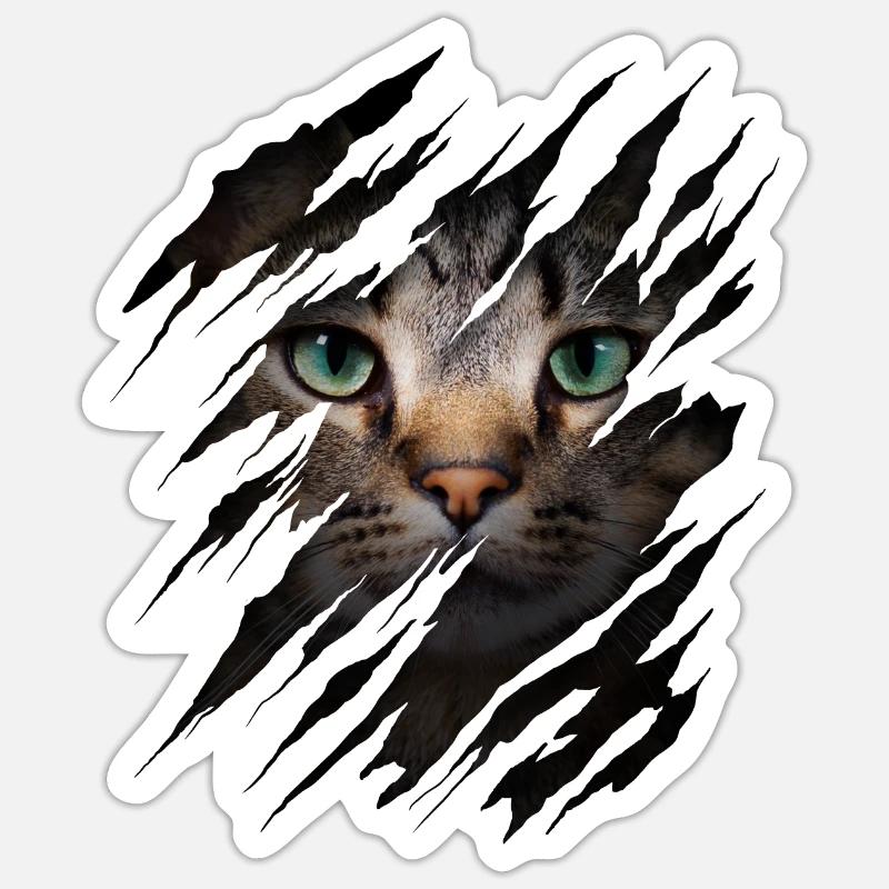 Chat avec égratignure - Visage de chat Chat à gratter Chat Sticker taille S (10 x 10 cm)