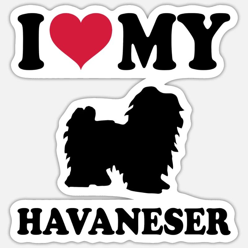 Havanese - Sticker size S (10 x 10 cm) - white matte