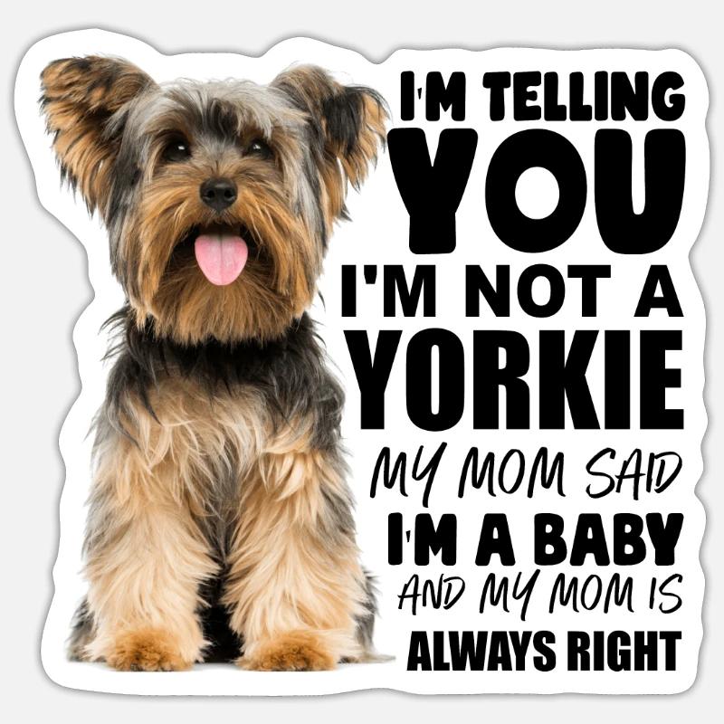 Tarra koko S (10 x 10 cm) - 