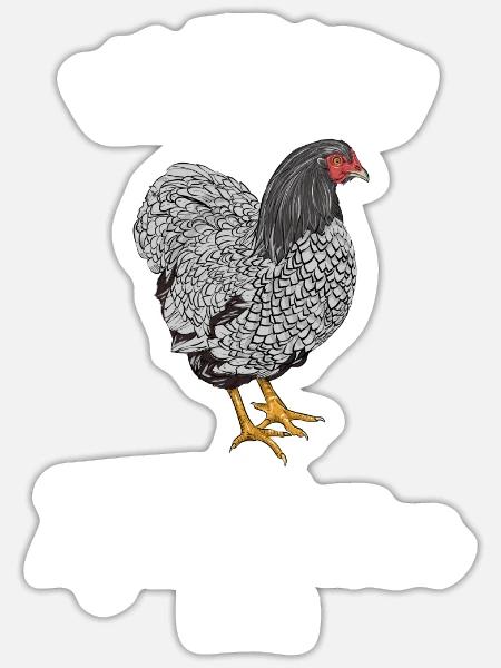 Wyandotten Hühner I Chicken Geflügel Motiv für - Sticker Größe S (10 x 10 cm) - Mattweiß
