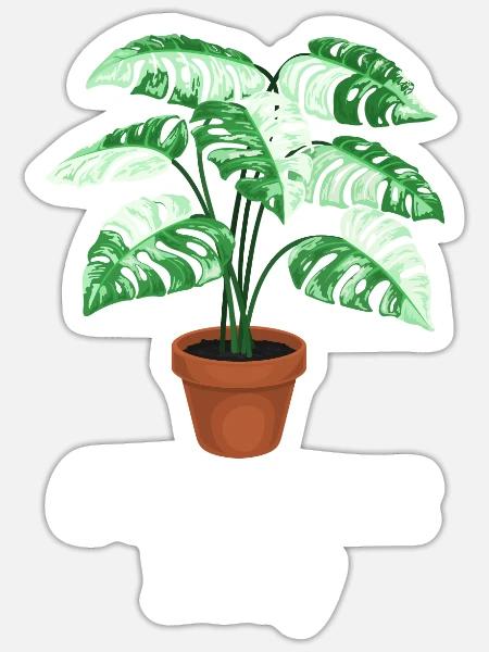 Crazy Plant Lady - Sticker Größe S (10 x 10 cm) - Mattweiß