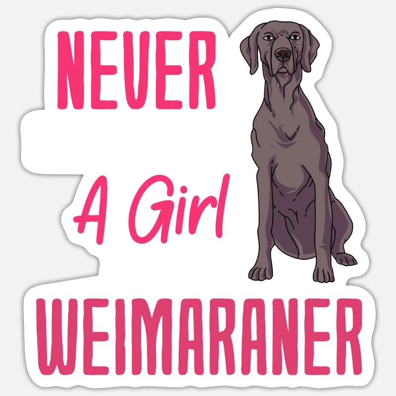 Weimaraner - Sticker taille S (10 x 10 cm) - blanc mat