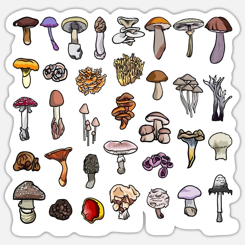 Champignons avec le nom collection de champignons - Sticker taille S (10 x 10 cm) - blanc mat