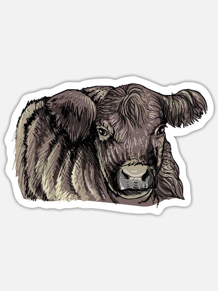 Galloway Rind I Schottland Rinderzucht für - Sticker Größe S (10 x 10 cm) - Mattweiß