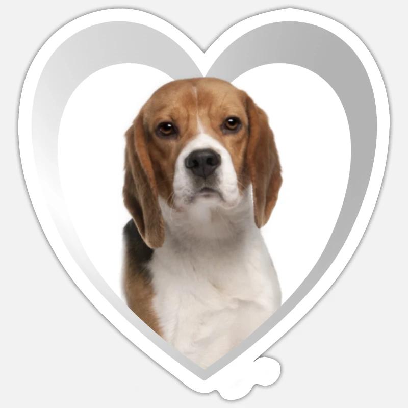 Beagle Herz - J’aime Beagle - Sticker taille S (10 x 10 cm) - blanc mat