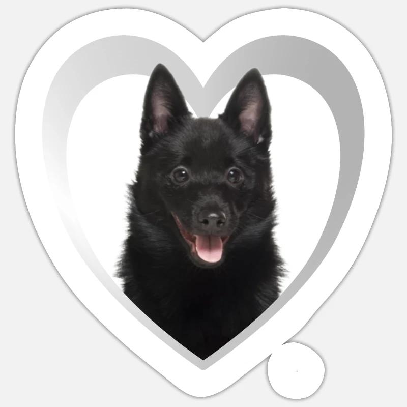 Schipperke Herz - J’aime Schipperke - Sticker taille S (10 x 10 cm) - blanc mat