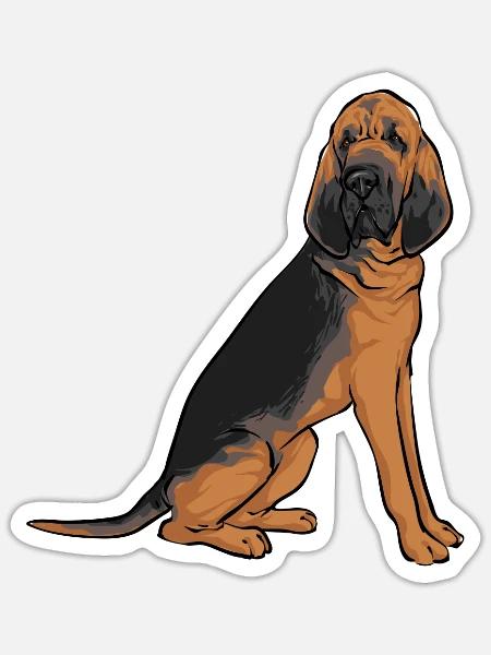 Bloodhound Hund Bluthund - Sticker Größe S (10 x 10 cm) - Mattweiß
