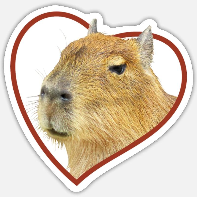 Capybara Coeur Capybara - Sticker taille S (10 x 10 cm) - blanc mat