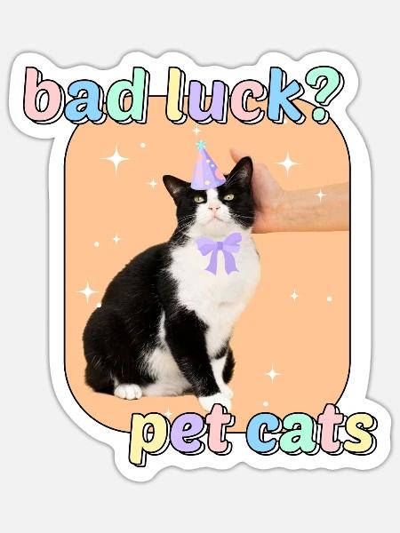 Katzen Meme - Bad Luck Pet Cats - Sticker Größe S (10 x 10 cm) - Mattweiß