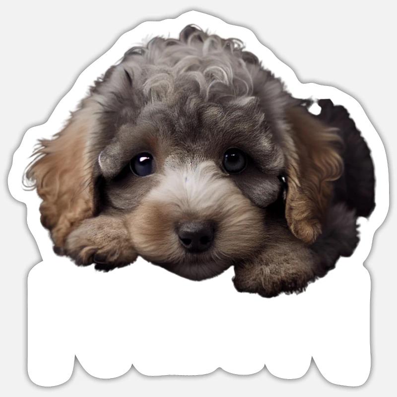 Statement Pudel, Nö Fun, Einfach Nö, Nein - Sticker Größe S (10 x 10 cm) - Mattweiß