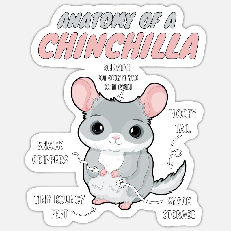 Anatomie einer Chinchilla - Sticker Größe S (10 x 10 cm) - Mattweiß