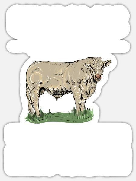 Charolais Rind I Frankreich Rinderzucht für - Sticker Größe S (10 x 10 cm) - Mattweiß