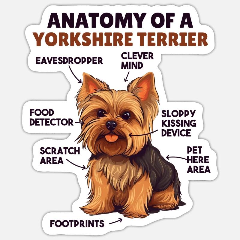 Hunde Erklärung Anatomy eines Yorkshire Terrier - Sticker Größe S (10 x 10 cm) - Mattweiß