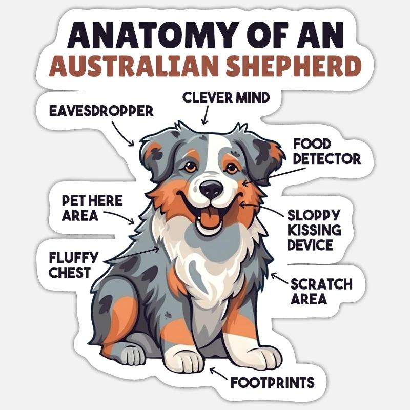 Hunde Erklärung Anatomy eines Australian Shepherd - Sticker Größe S (10 x 10 cm) - Mattweiß