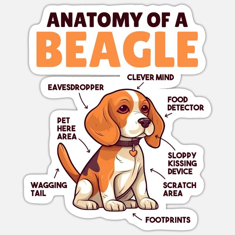 Explication du chien Anatomie d’un beagle - Sticker taille S (10 x 10 cm) - blanc mat