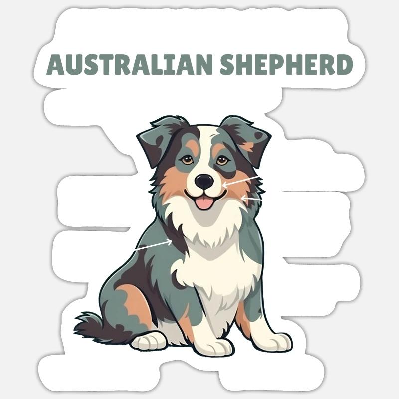 Explication du chien Anatomie d’un berger australien - Sticker taille S (10 x 10 cm) - blanc mat