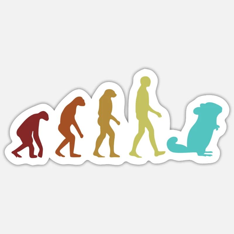 Chinchilla Evolution Éleveur à longue queue à poil long Sticker taille S (10 x 10 cm)