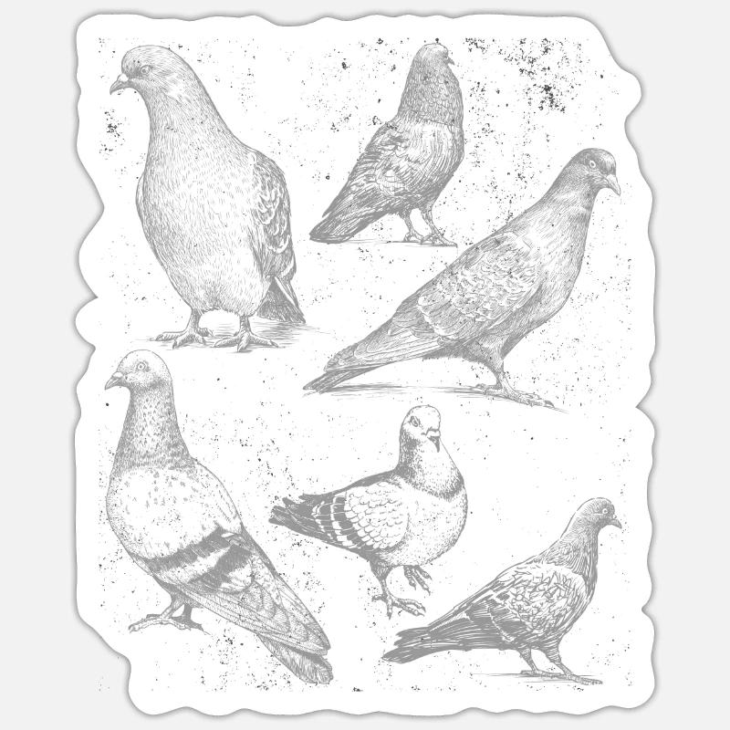 Tauben Arten Taube - Sticker Größe S (10 x 10 cm) - Mattweiß
