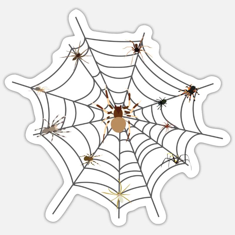 spider web spider tarantula Sticker size S (10 x 10 cm)