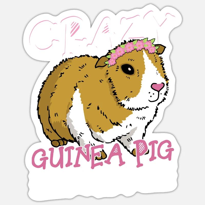 Crazy Guinea Pig Lady Rodent Cavy Lover - Sticker taille S (10 x 10 cm) - blanc mat