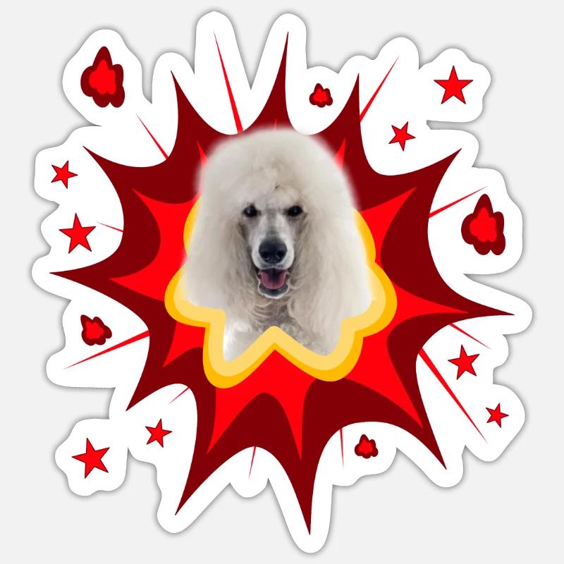 Conception de chien comique - Pow - Caniche Sticker taille S (10 x 10 cm)