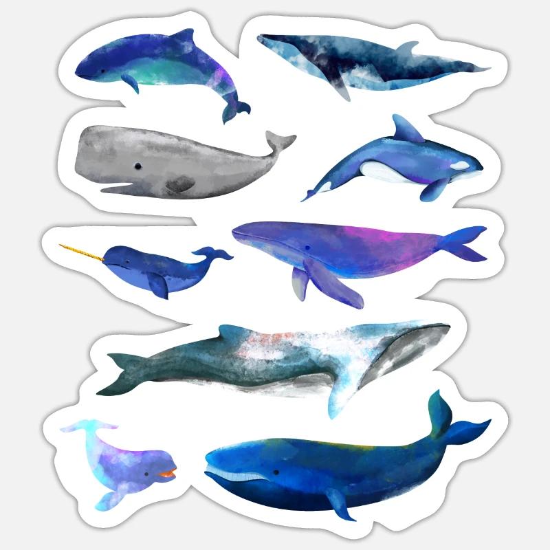 Dessins de baleines - diverses espèces de baleines Sticker taille S (10 x 10 cm)