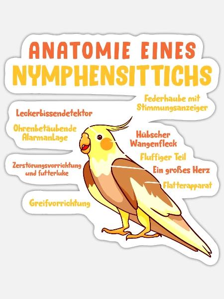 Anatomie eines Nymphensittichs Vogelfreund - Sticker Größe S (10 x 10 cm) - Mattweiß