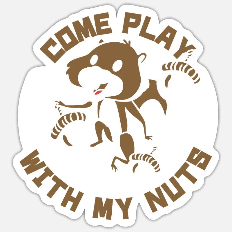 Come Play With My Nuts Grauhörnchen Squirrel Sticker Größe S (10 x 10 cm)